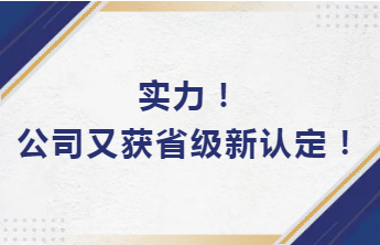 實(shí)力！公司又獲省級(jí)新認(rèn)定